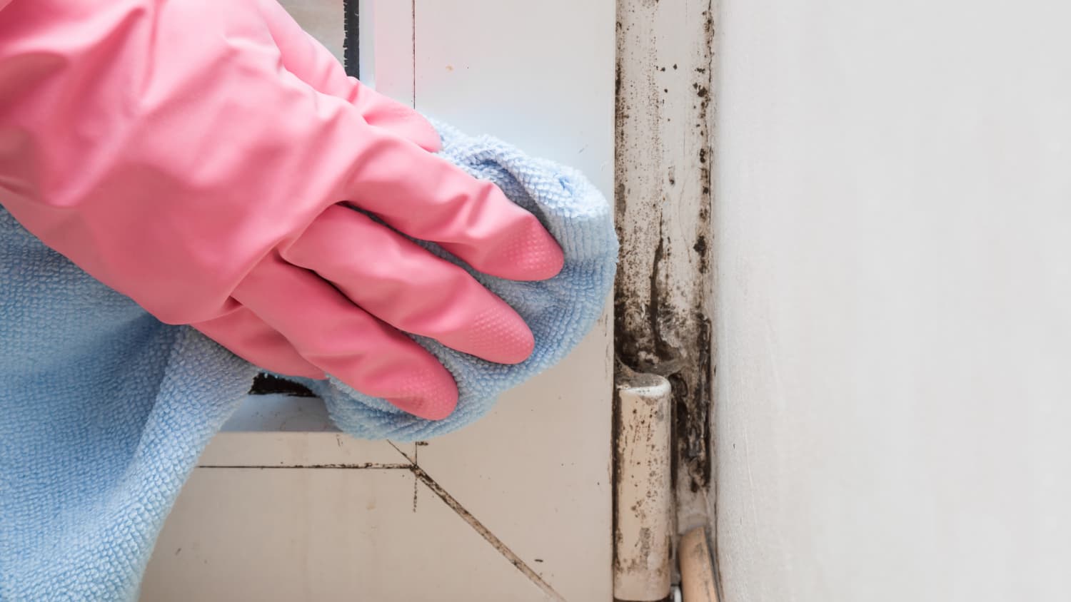 Schimmel hat sich in einer ecke neben dem Fenster gebildet