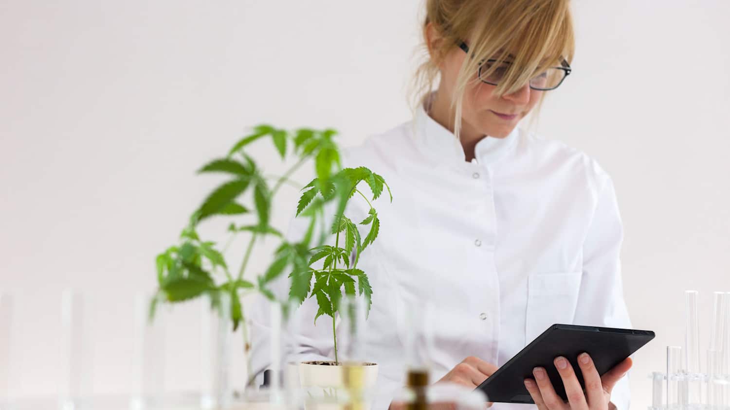 Eine Medizinerin in einem Labor mit Cannabisplfanzen