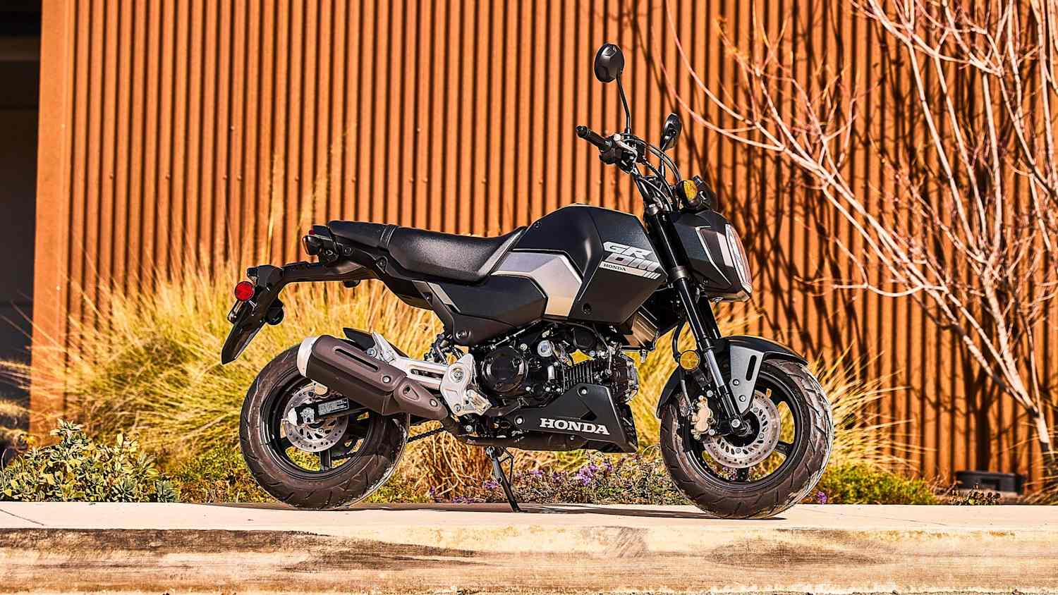 Die Honda  MSX 125 Grom seitlich stehend zu sehen