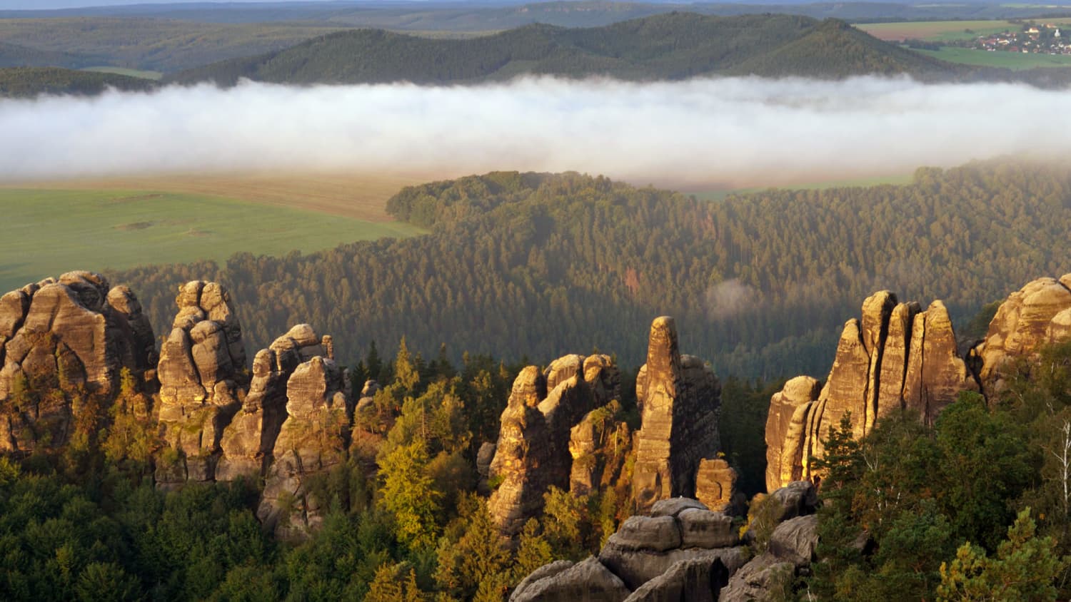 Nebliger Sonnenaufgang im Elbsandsteingebirge