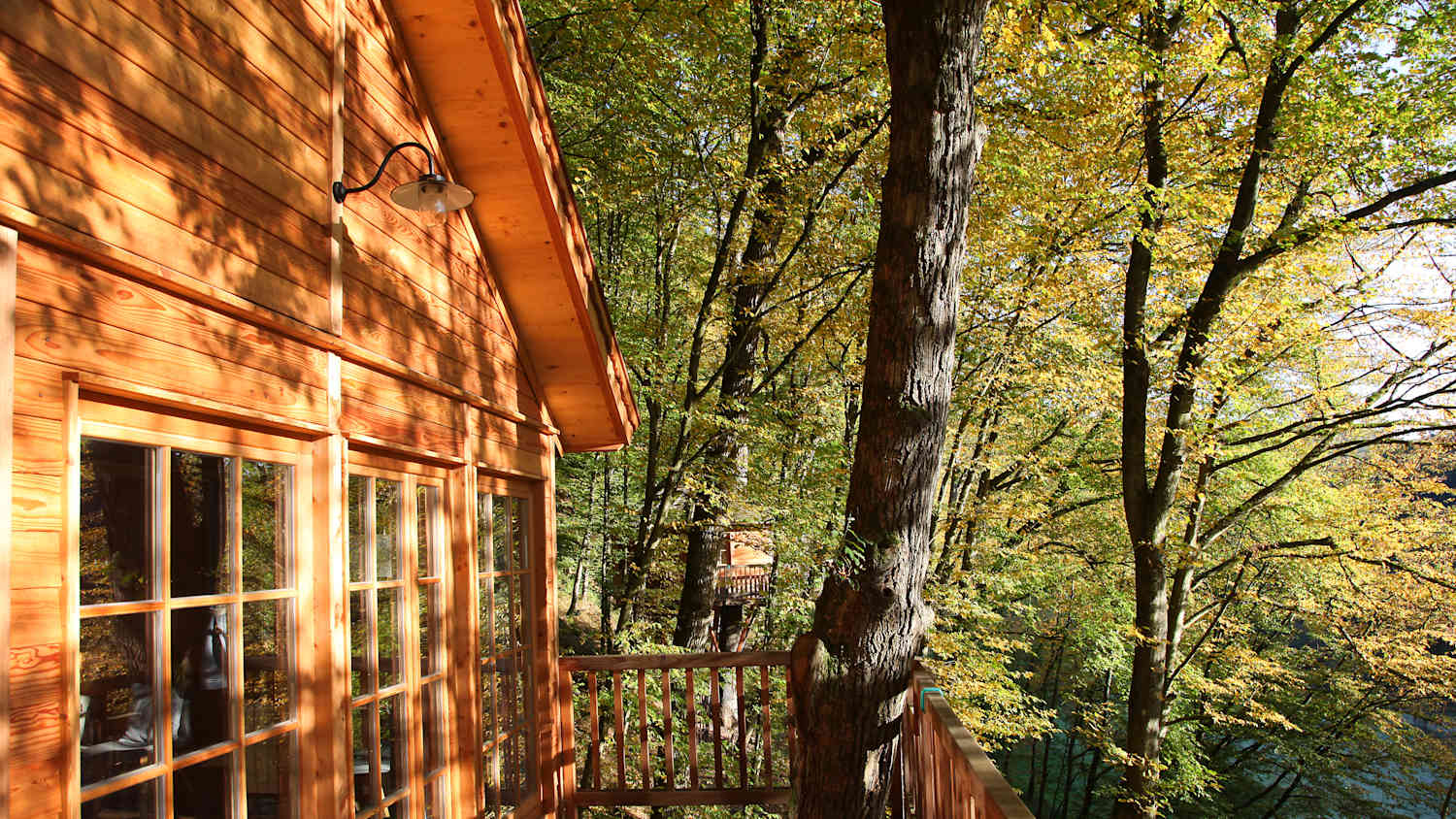 Blick auf ein Baumhaus von Bauhaus Seemühle im Spessart in Bayern