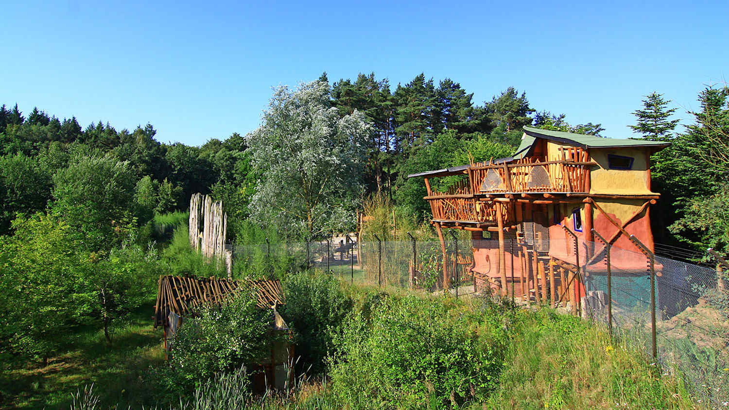 Baumhaus im Vogelpark Marlow