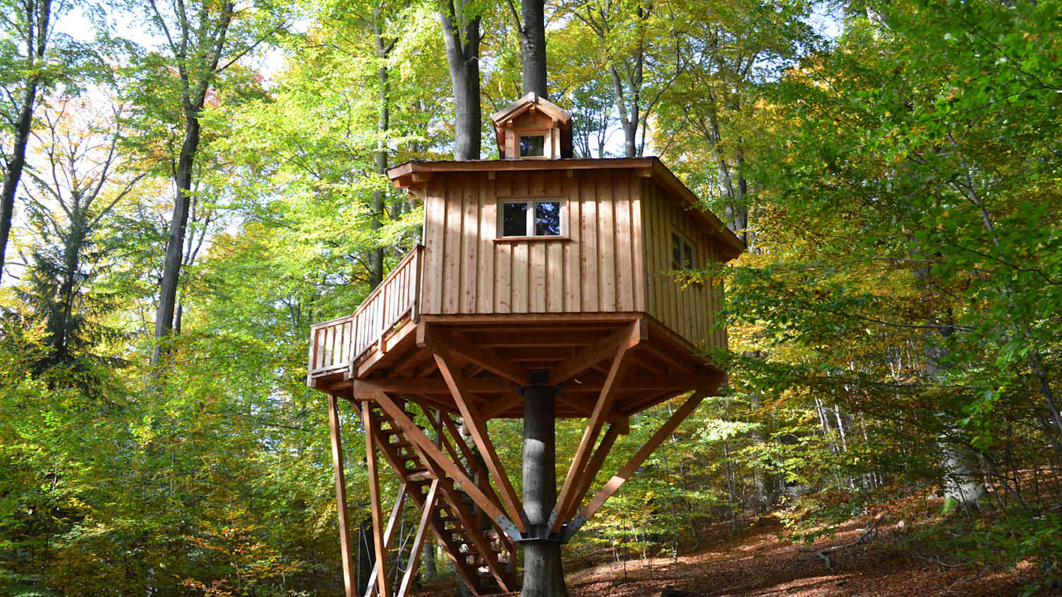 Baumhaus in  Niedersachsen Solling