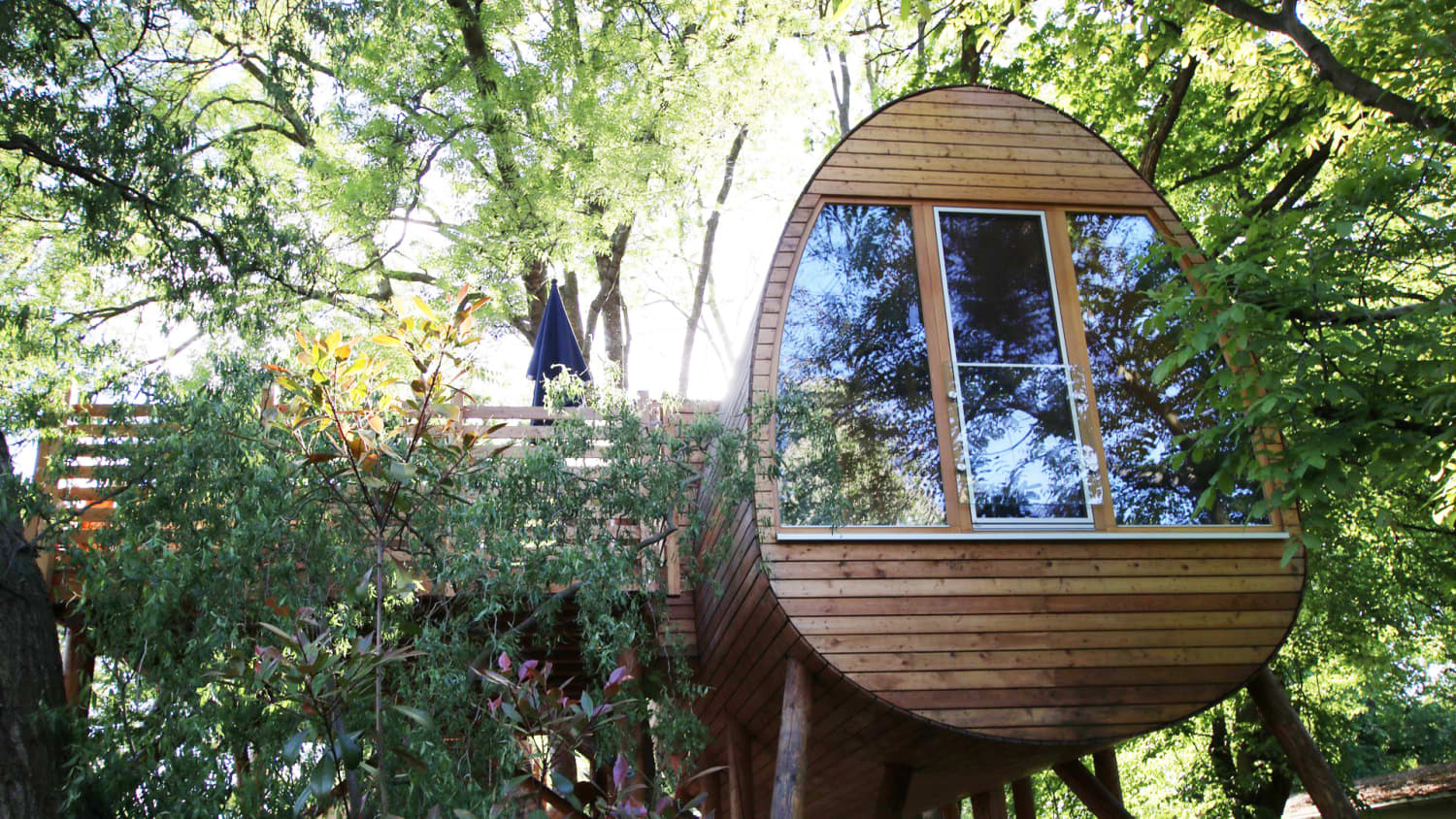 Baumhaus Sachsen Anhalt Träumen in den Bäumen, eine eiförmiges Baumhaus