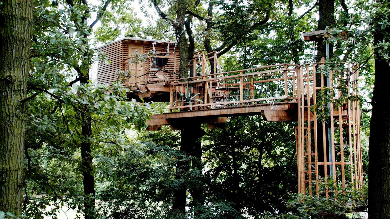 Baumhaus im Kletterwald bei Leipzig in Sachsen