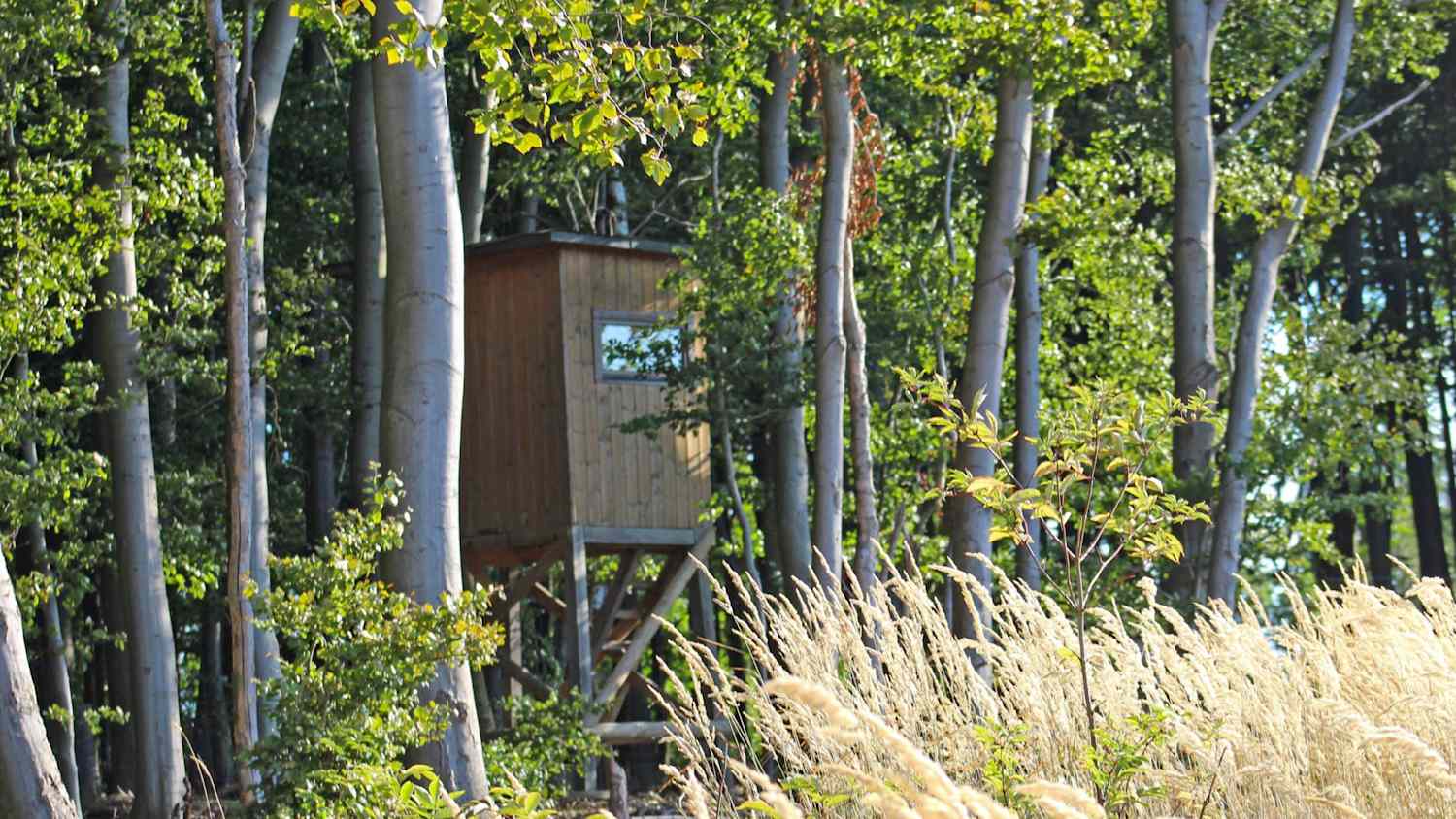 Schlafkanzel am Baumhaushotel Wildwald