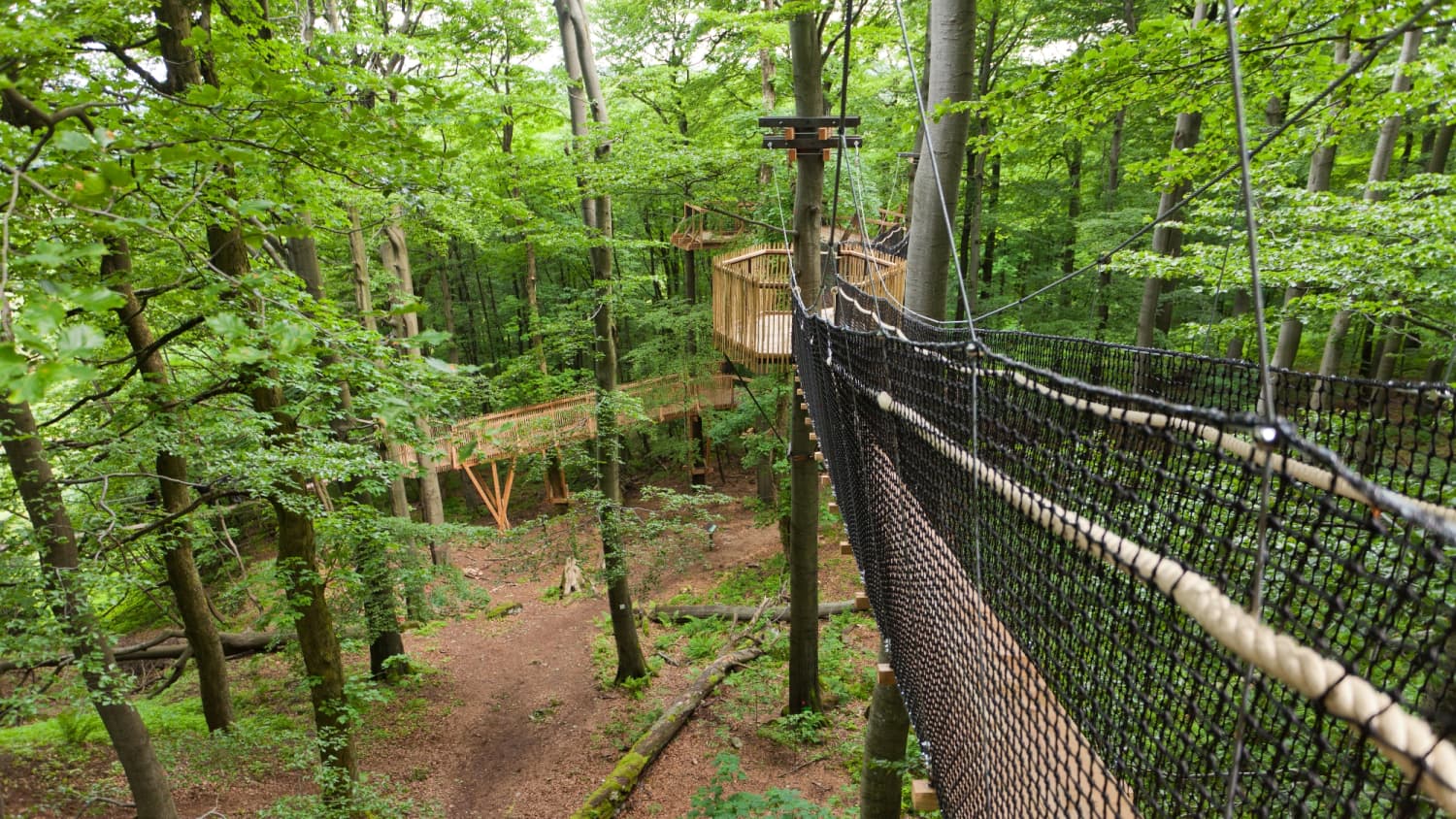 Baumwipfelpfad Vogelsberg