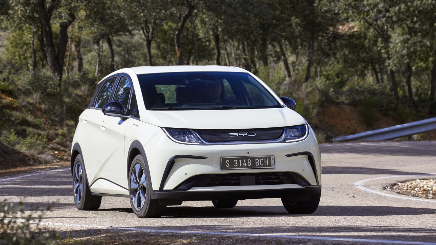 Frontansicht eines fahrenden BYD Dolphin