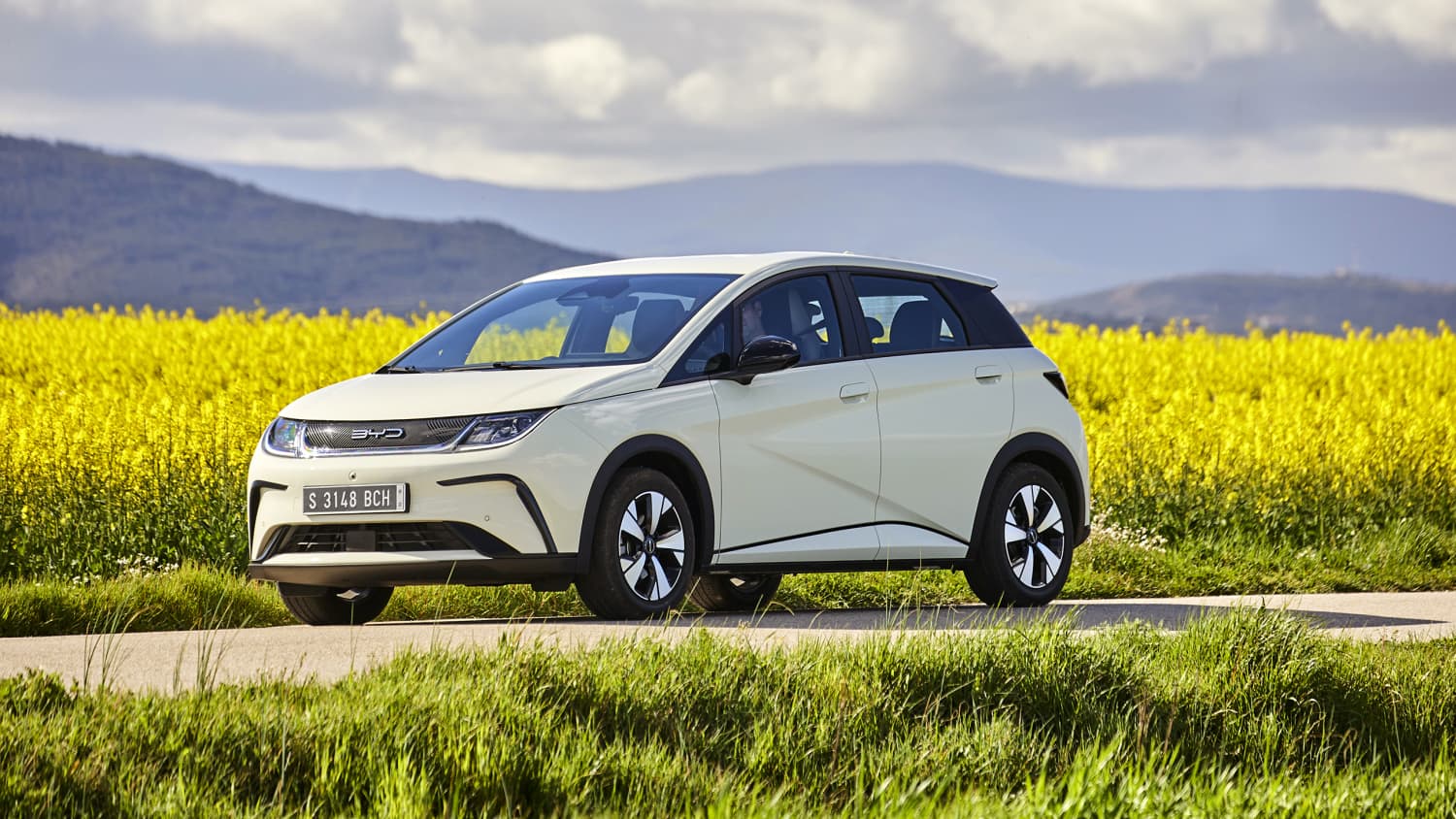 Front und Seitenansicht eines stehenden BYD Dolphin