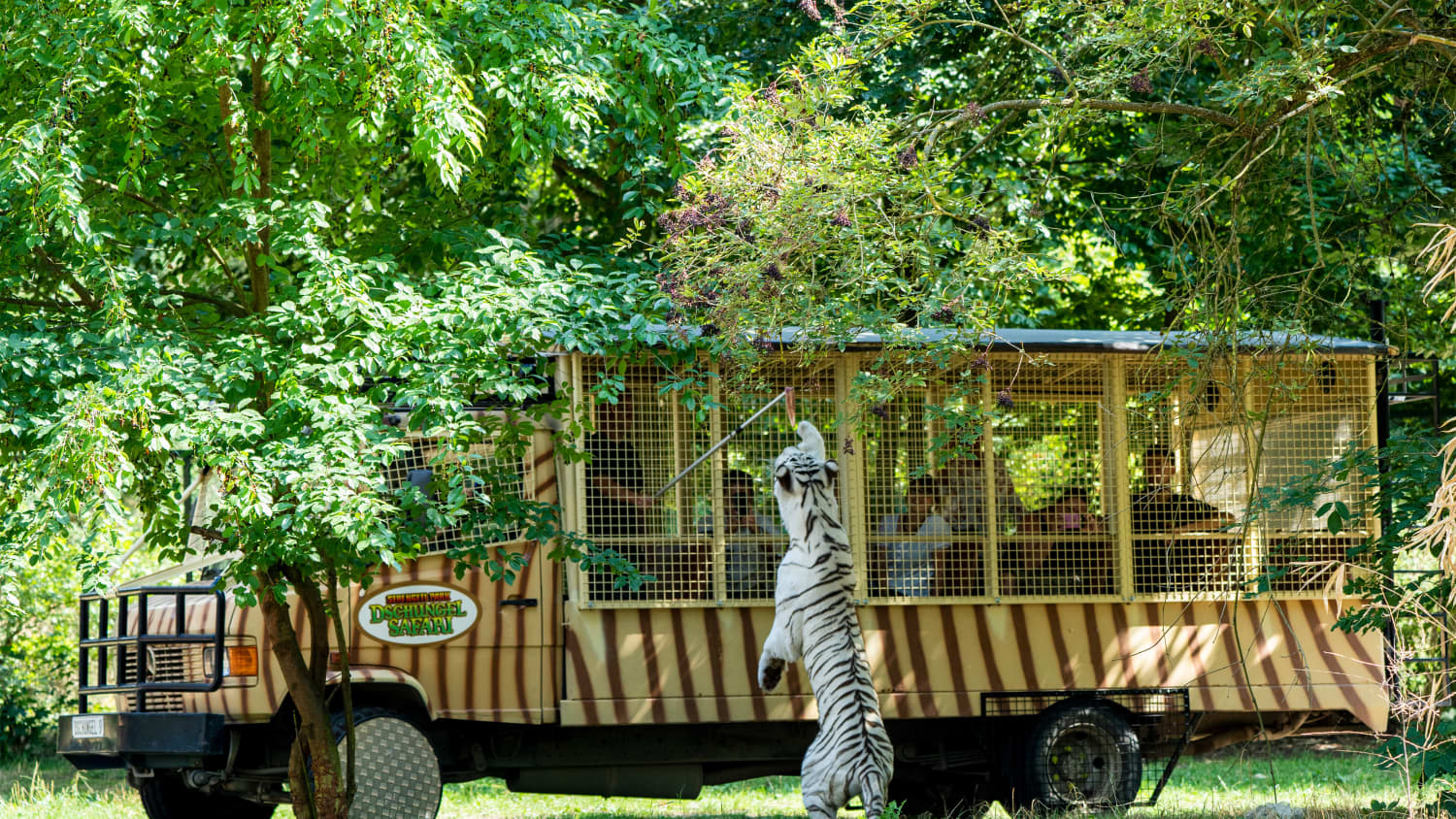 Besucher auf Safari im Serengeti Park