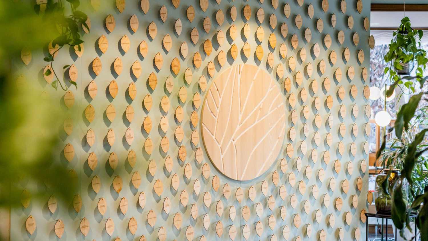 Wall of Change vom Hotel Luise