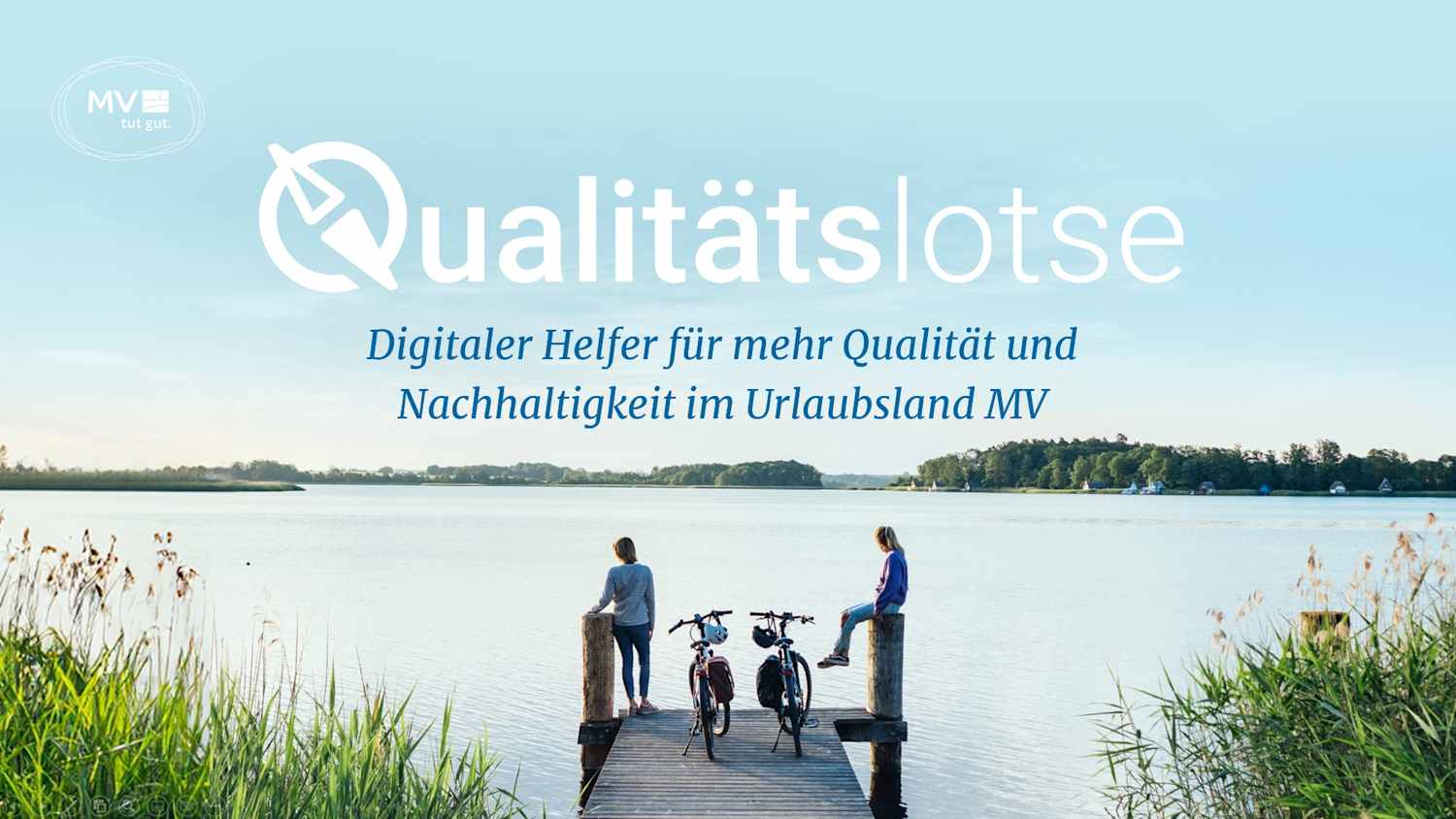 Qualitätslotse MVP