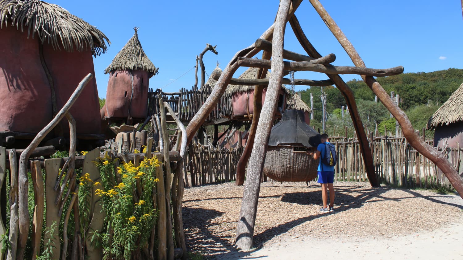 Takamanda Makatanda im Zoo Osnabrück