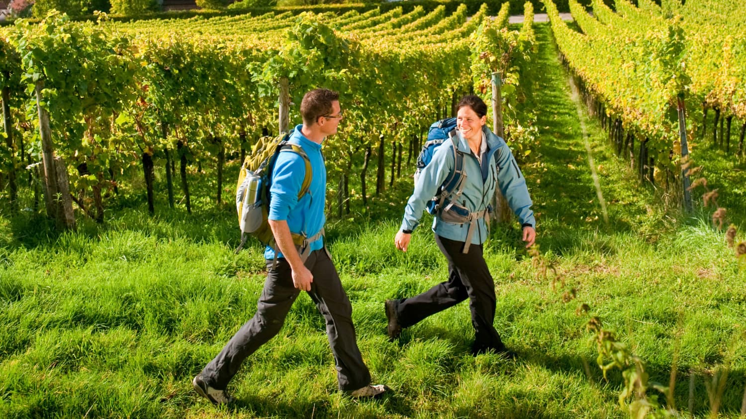 Wanderer am Weinsteig in der Pfalz in Leinsweiler