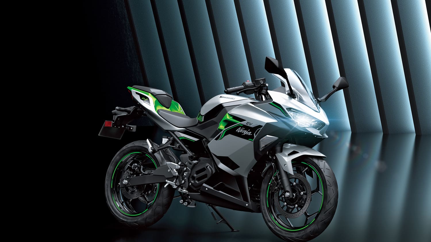 Aufnahme der Kawasaki Ninja e1