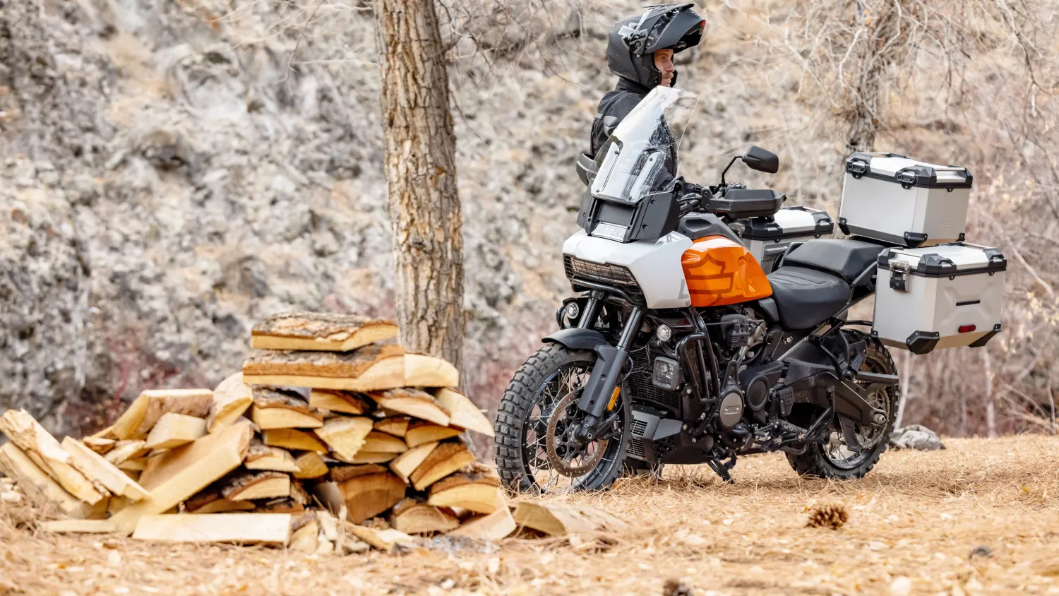 Harga harley davidson pan america cheap
