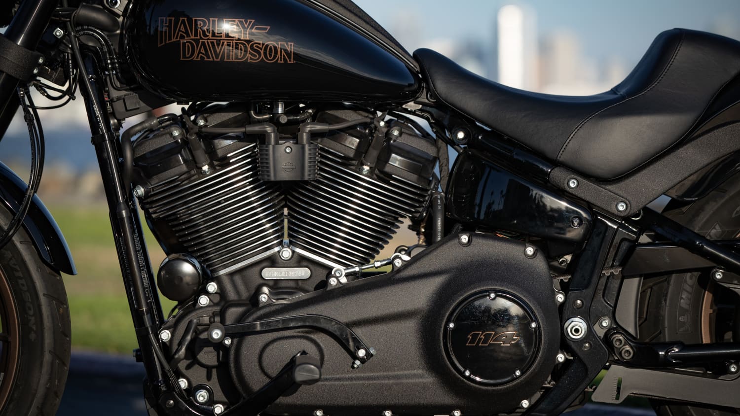 Nahaufnahme vom Motorblock der Harley Davidson Low Rider S