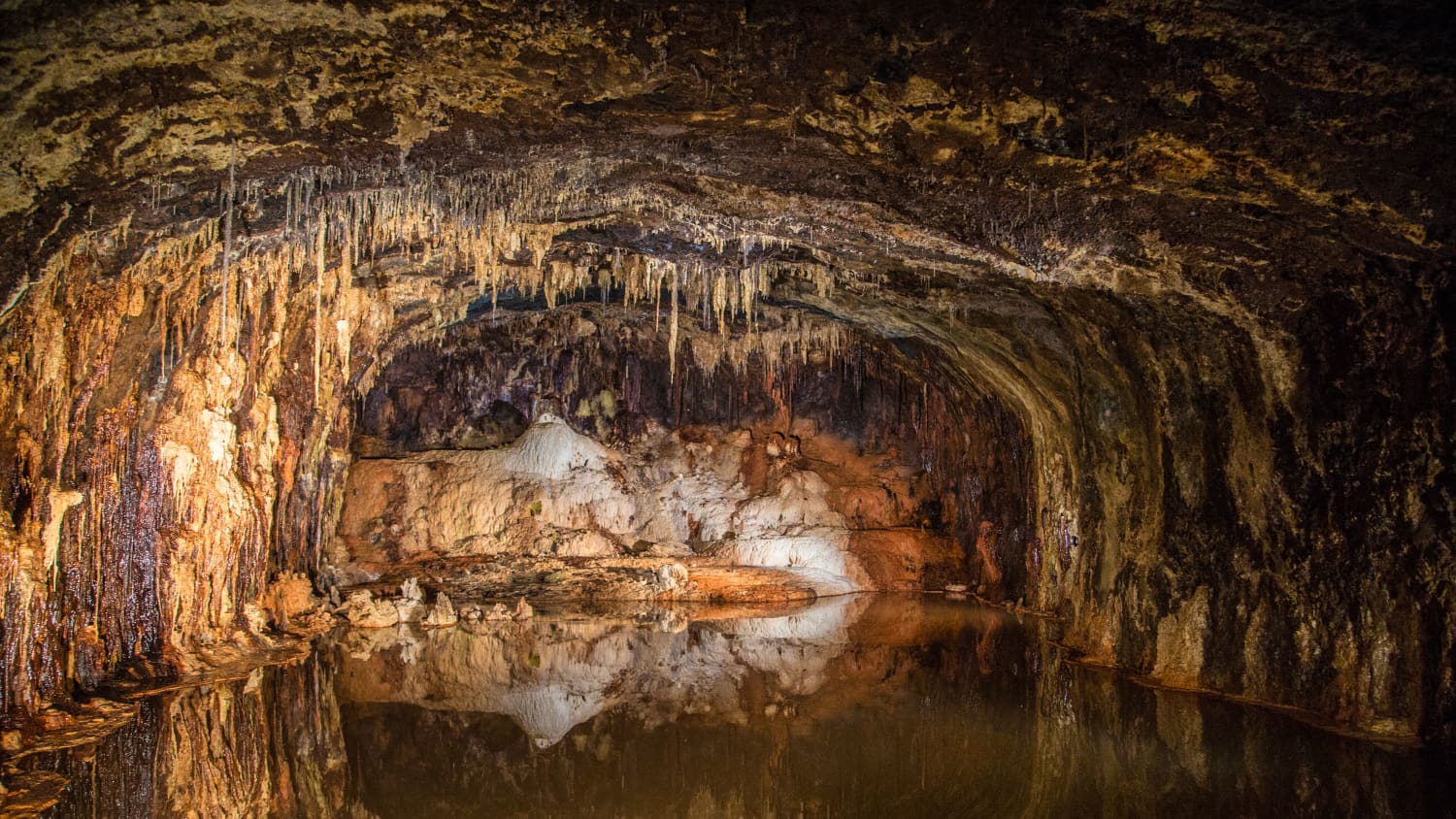 Die Quellgrotten der Saalfelder Feengrotten