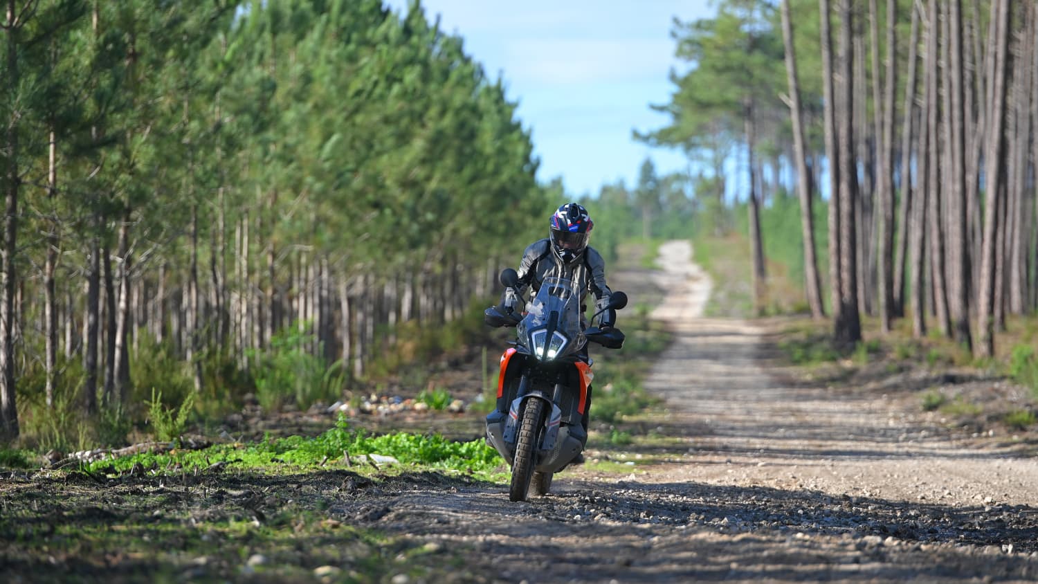 Ein Mann auf der neuen KTM 890 Adventure auf einem Waldweg