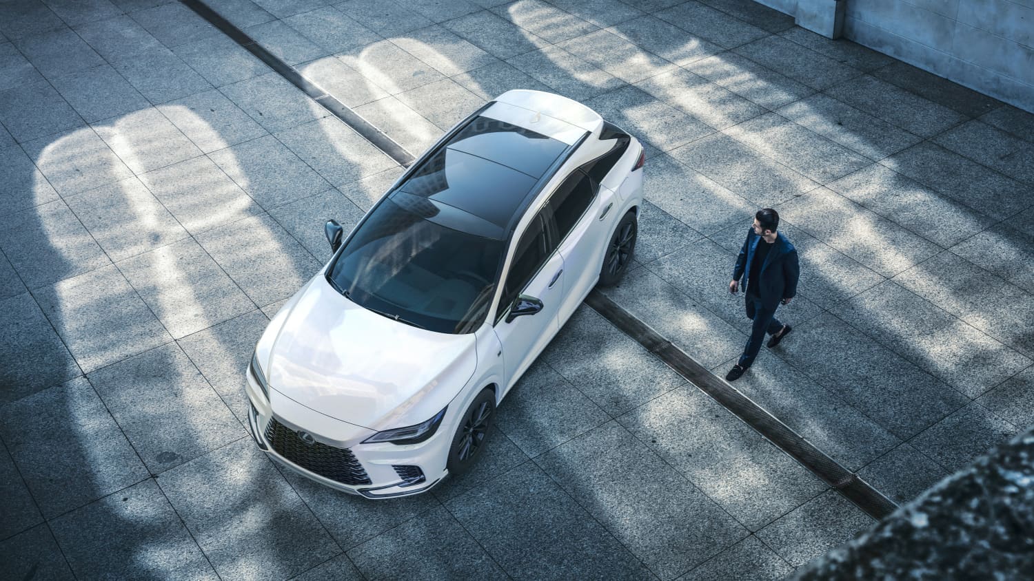 Sicht auf den Lexus RX