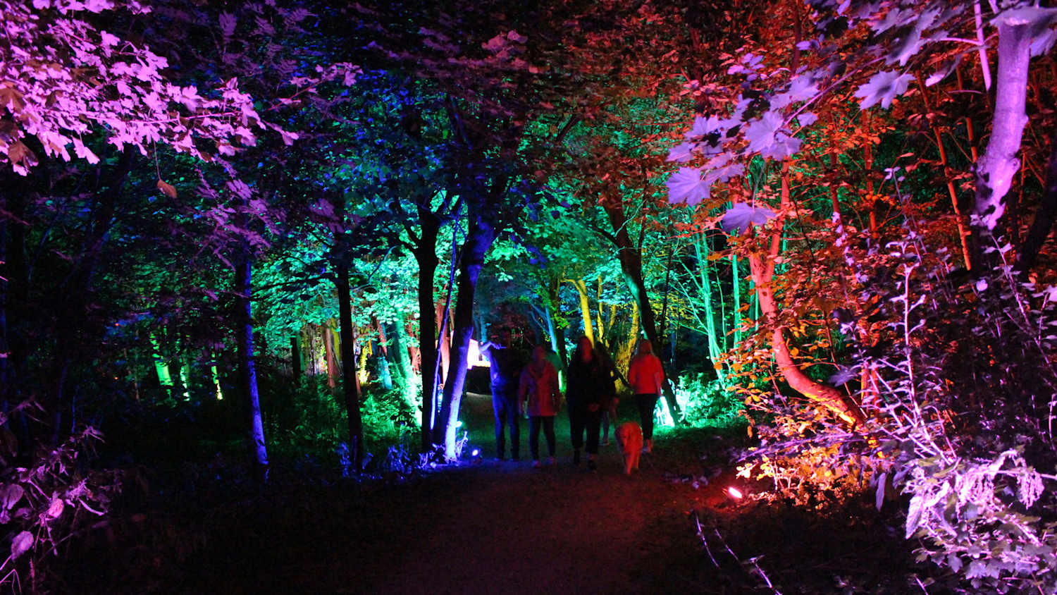 Ein bunt beleuchteter Park während der Lichterwoche in Wangerooge