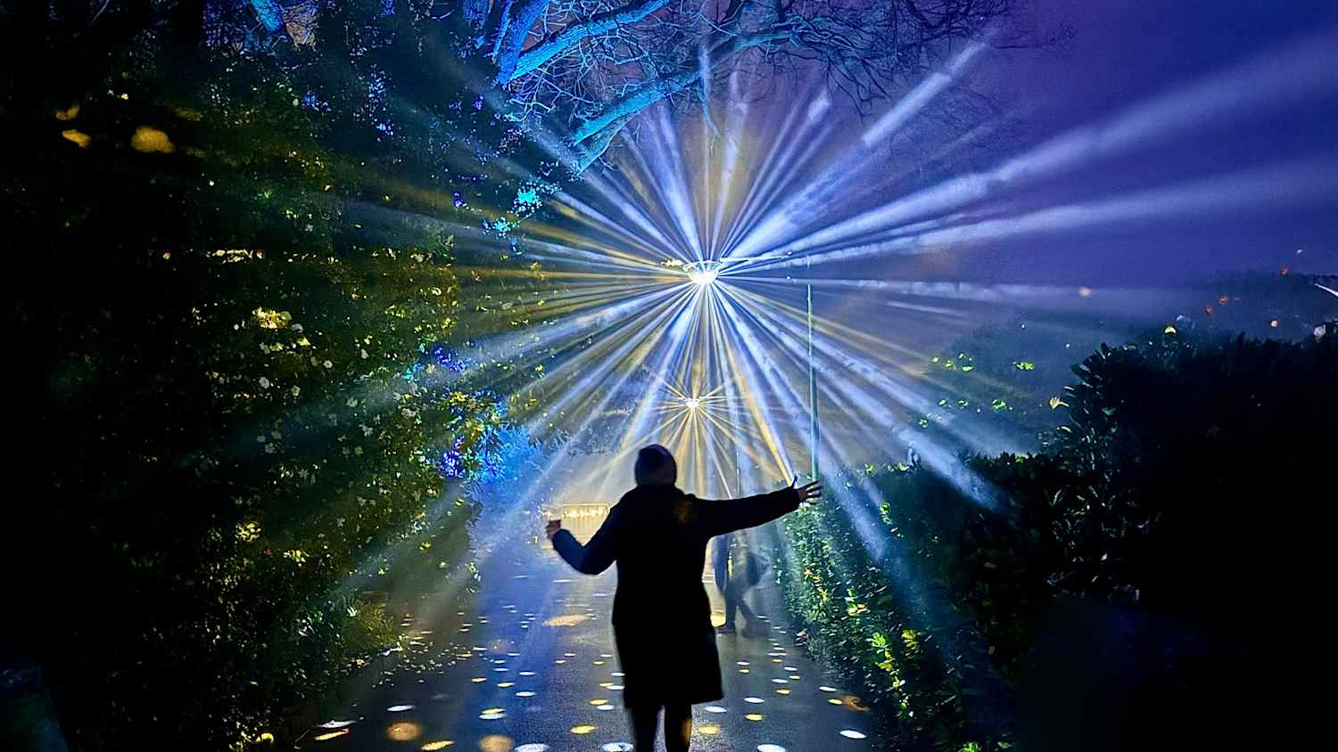LIchterfest in Durham London