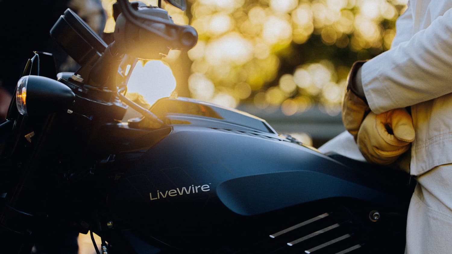 Schriftzug der Livewire S2 Del Mar