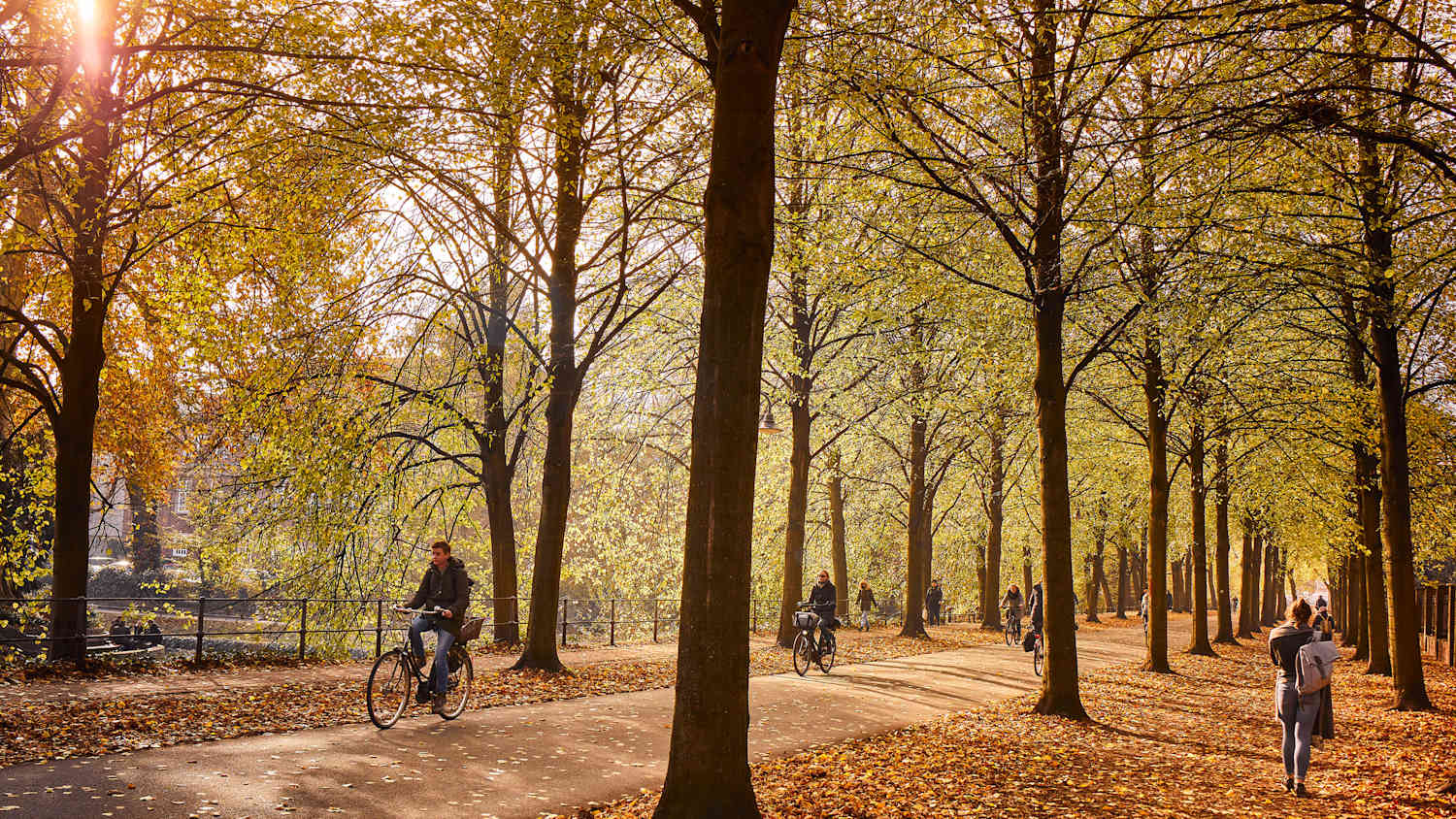 Fahrradfahrer fahren auf der Kanalpromenade von Münster
