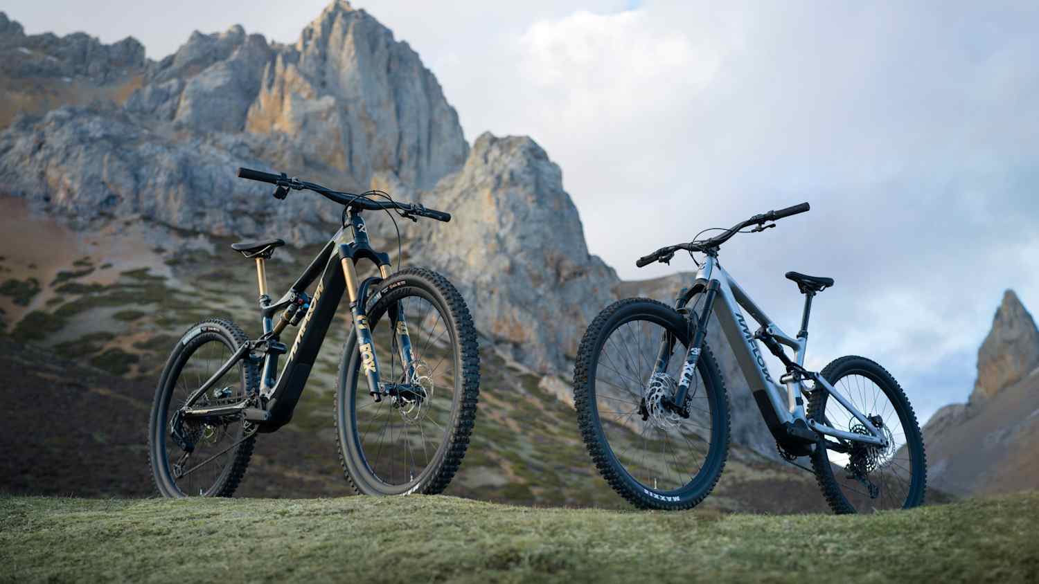2 E-Mountainbikes stehen auf einer Wiese