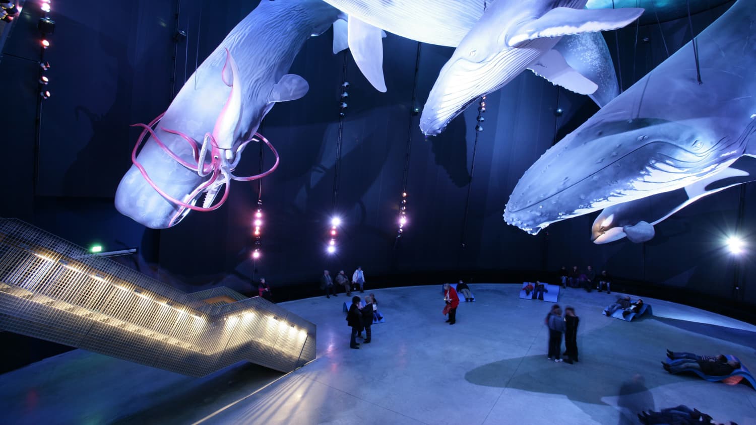die Ausstellung zeigt vom Mondfisch bis zum Blauwal die Welt der Riesen der Meere
