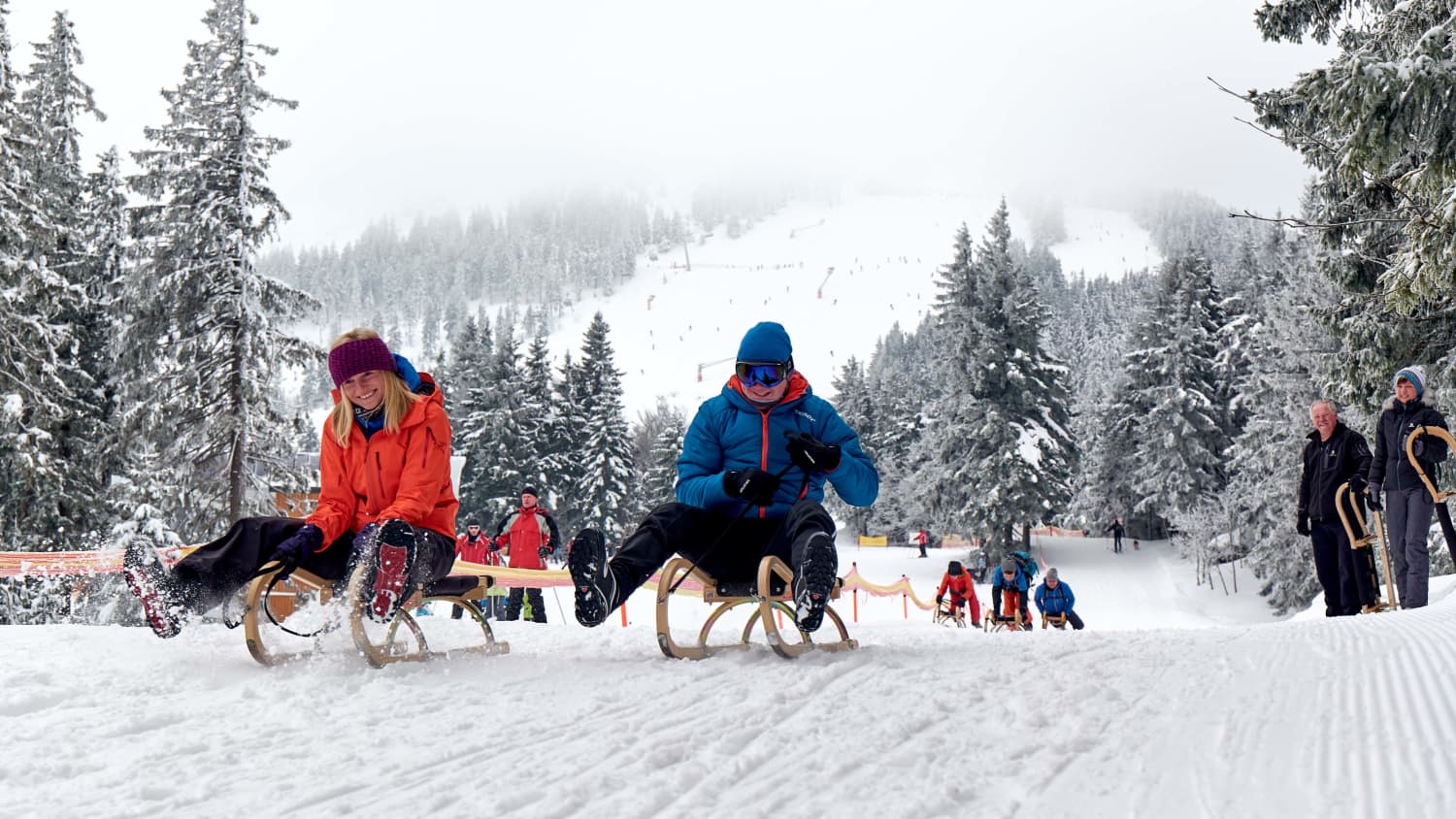 Schlittenfahren am Großen Arber mit Blick zum Skilift