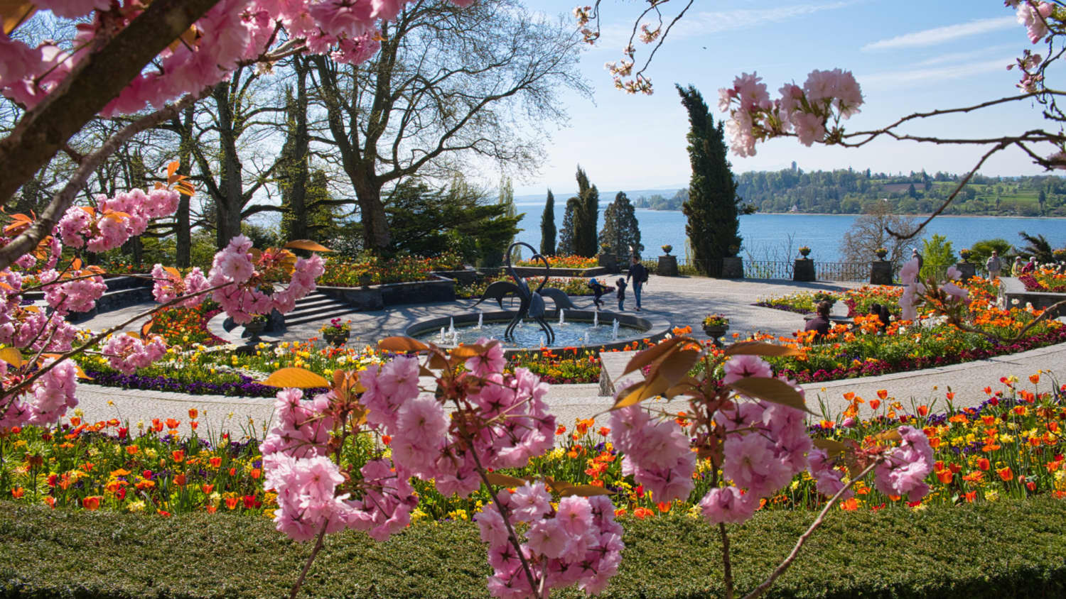 Blumen auf der Insel Mainau