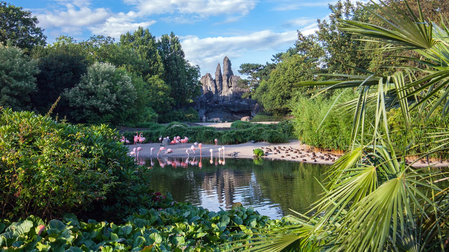 Afrika-Panorama im Tierpark Hagenbeck
