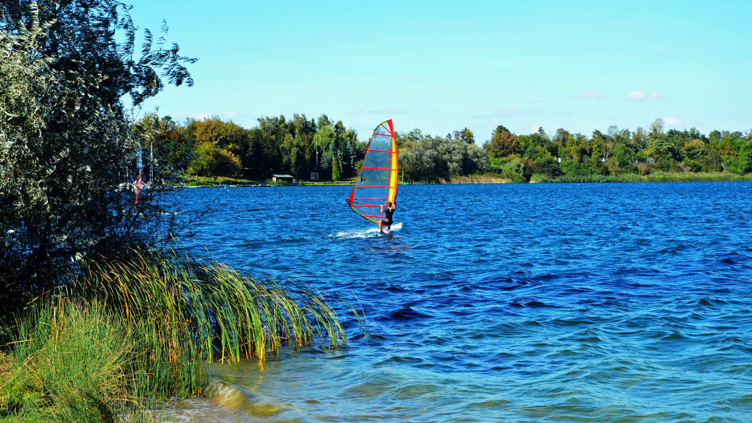 Ein Windsurfer auf dem Kukwitzer See bei Leipzig
