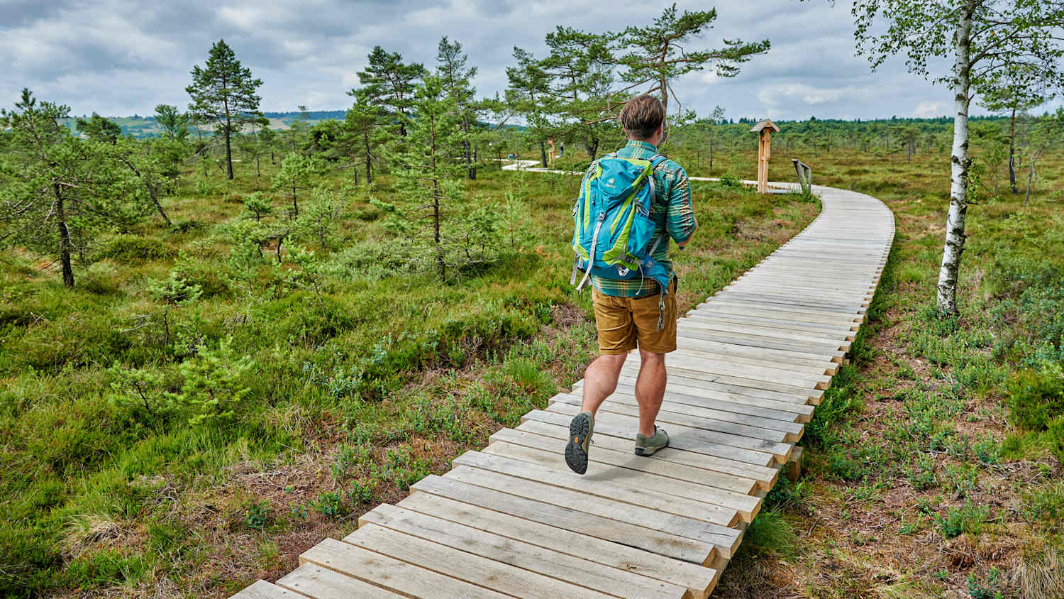 Ein Mann wandert auf dem Hochrhöner Wanderweg im Frühsommer