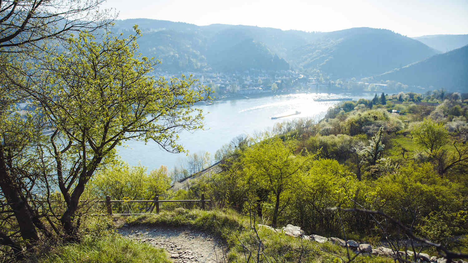 Blick auf den Rheinsteig und das frühlingshafte Rheintal