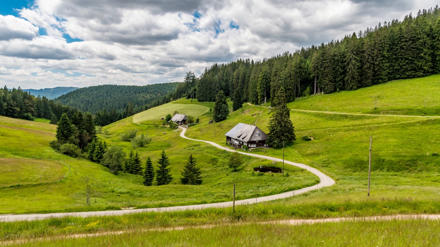 Schluchensteig Schwarzwald Muchenland