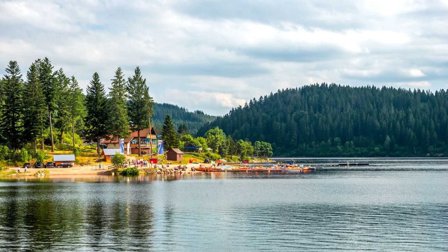 Ufer des Schluchsees