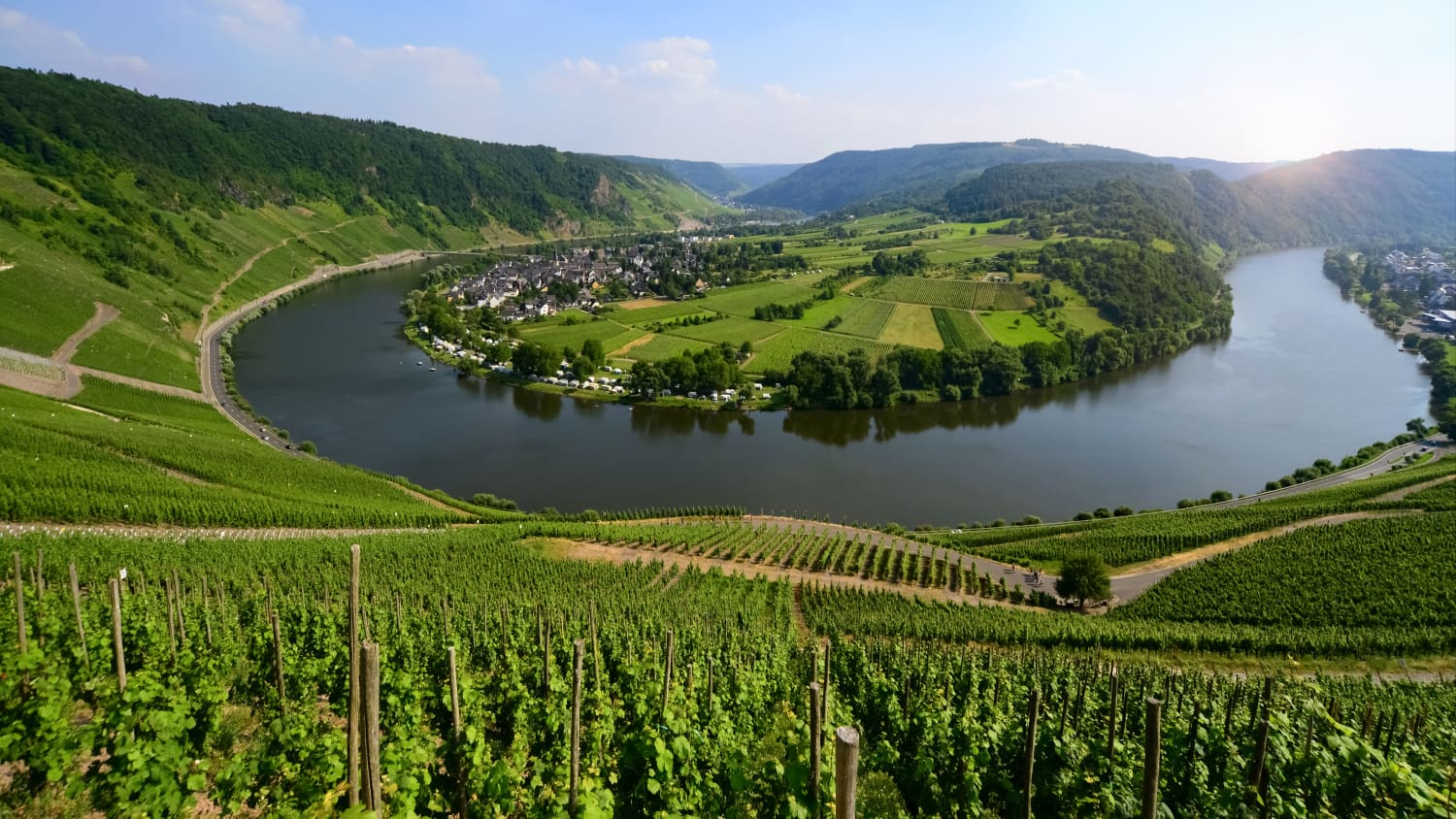 Panorama der Moselschleife in der Nähe von Kröv