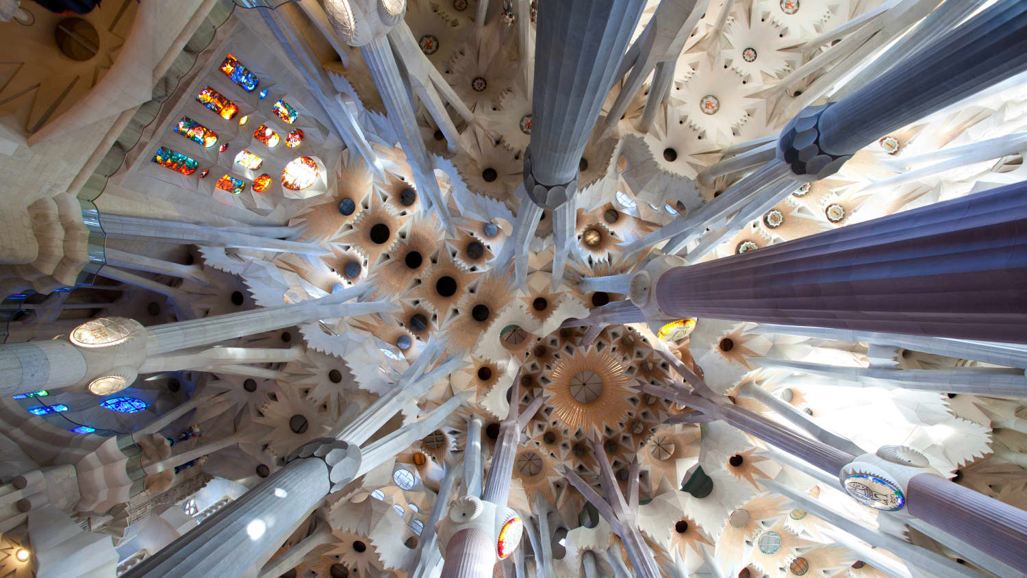 Blick nach oben in der Sagrada Familia in Barcelona