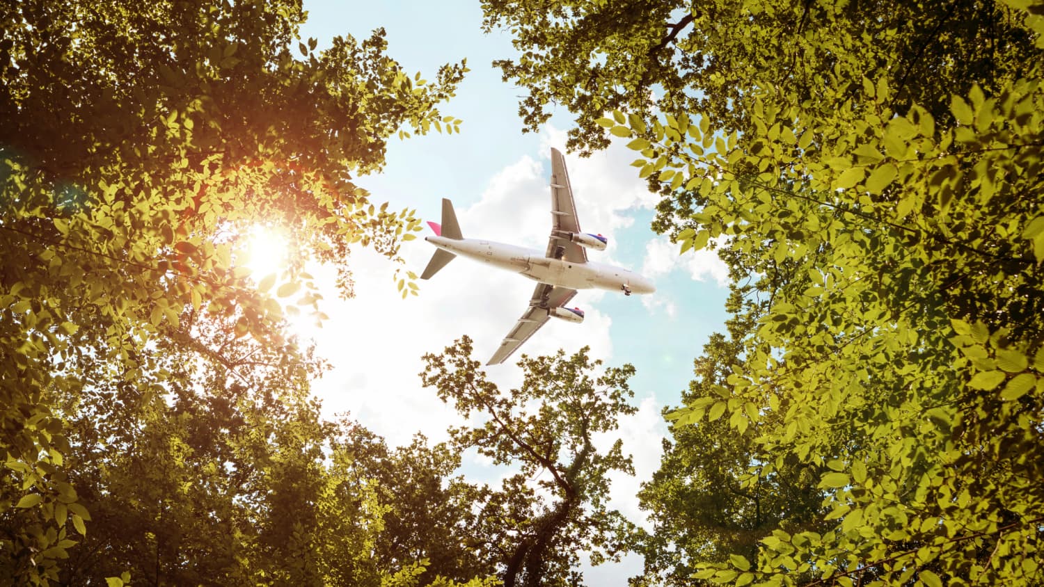Flugzeug über grünen Baumwipfeln lässt über co2-Kompensation nachdenken