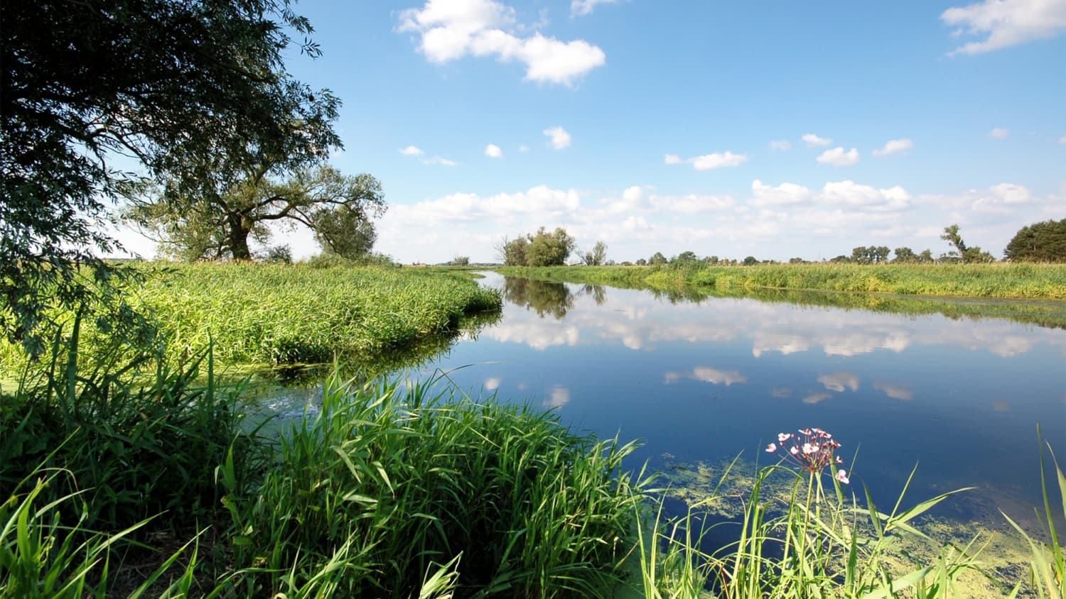 Landschaft in der Mark Brandenburg
