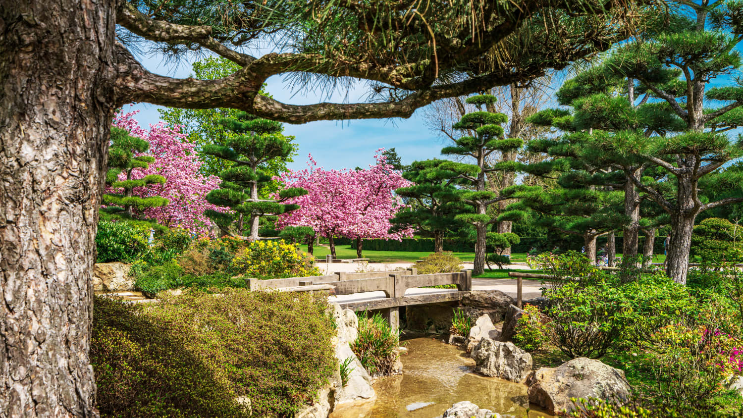 Der japanische Garten im Nordpark von Düsseldorf