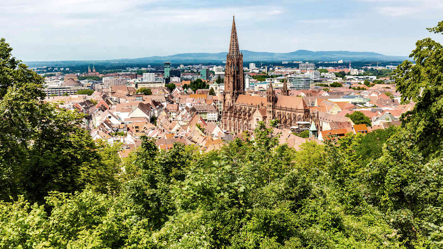 Stadtpanorama von Freiburg mit Freiburger Münster