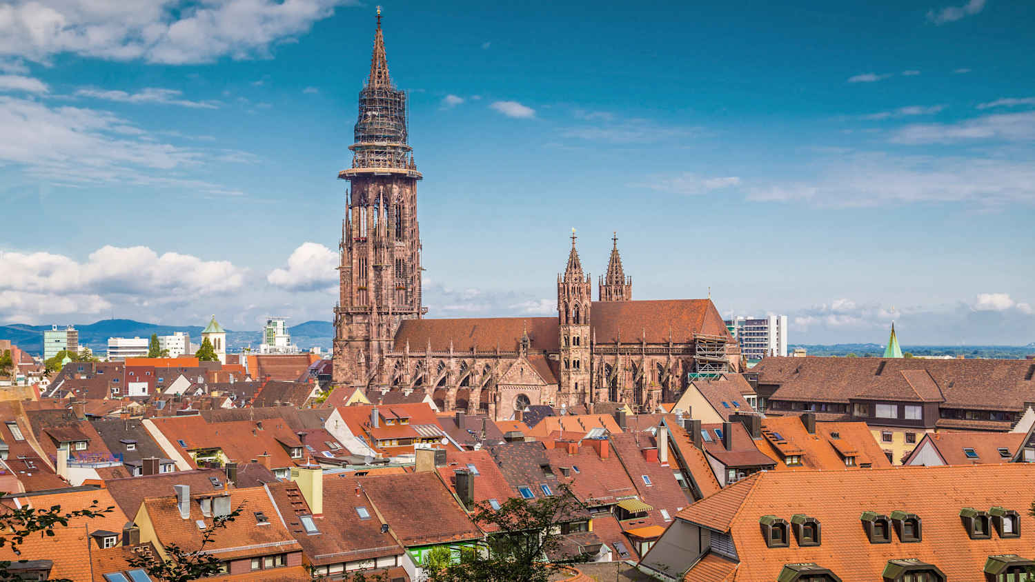 Blick auf das Freiburger Münster