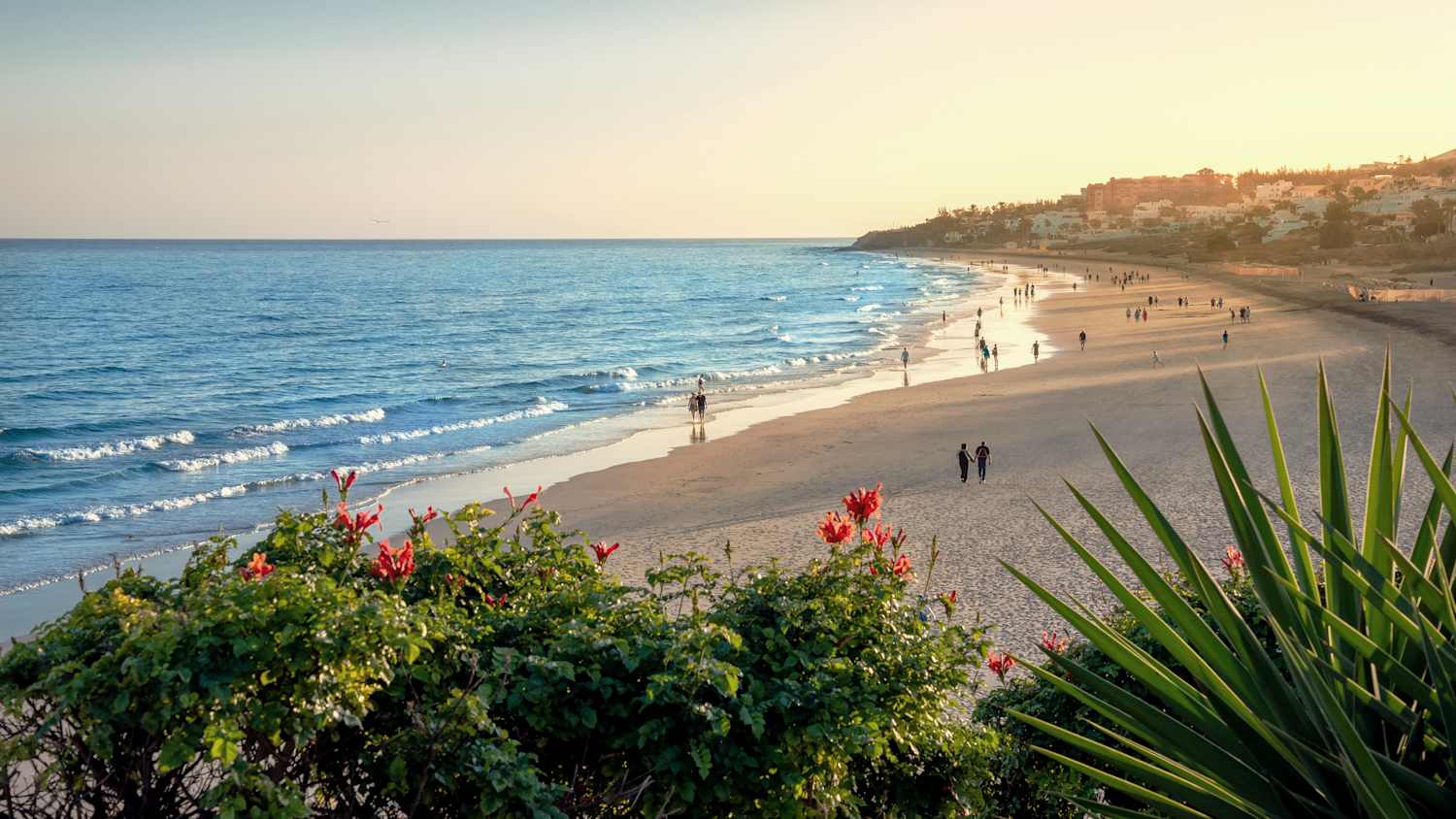 Aufnahme auf Fuerteventura eines Strandes in Costa Calma