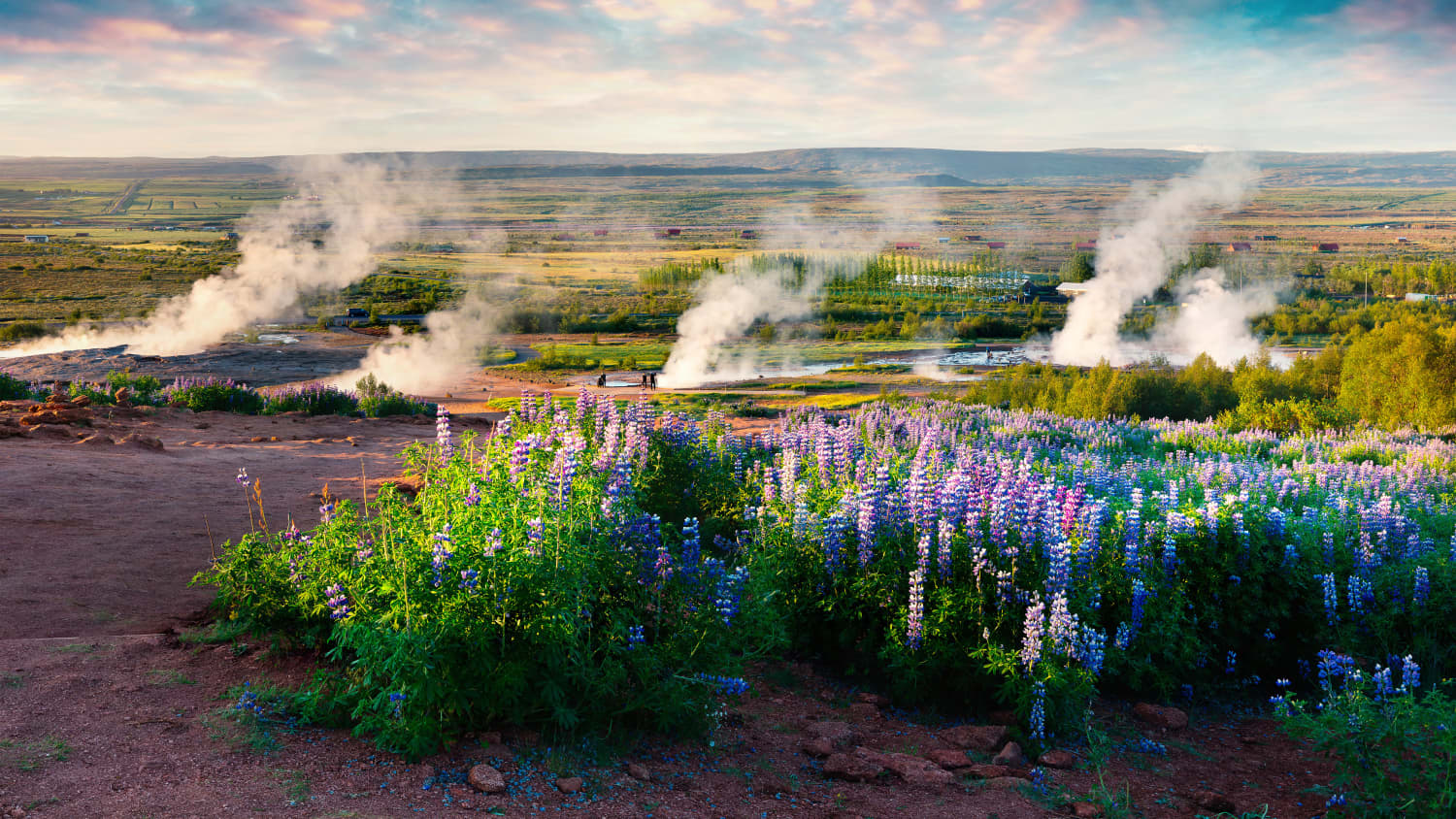 Geysir im Haukadalur Tal in Island kurz vor dem Ausbruch