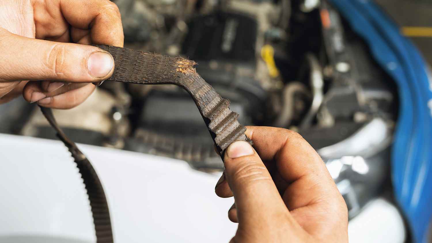 Ein Mechaniker hält einen gerissenen Zsahnriemen in den Händen