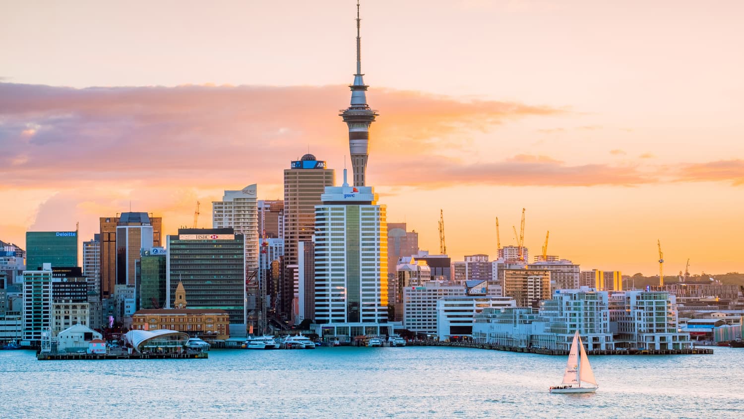 Skyline mit SkyTower in Auckland