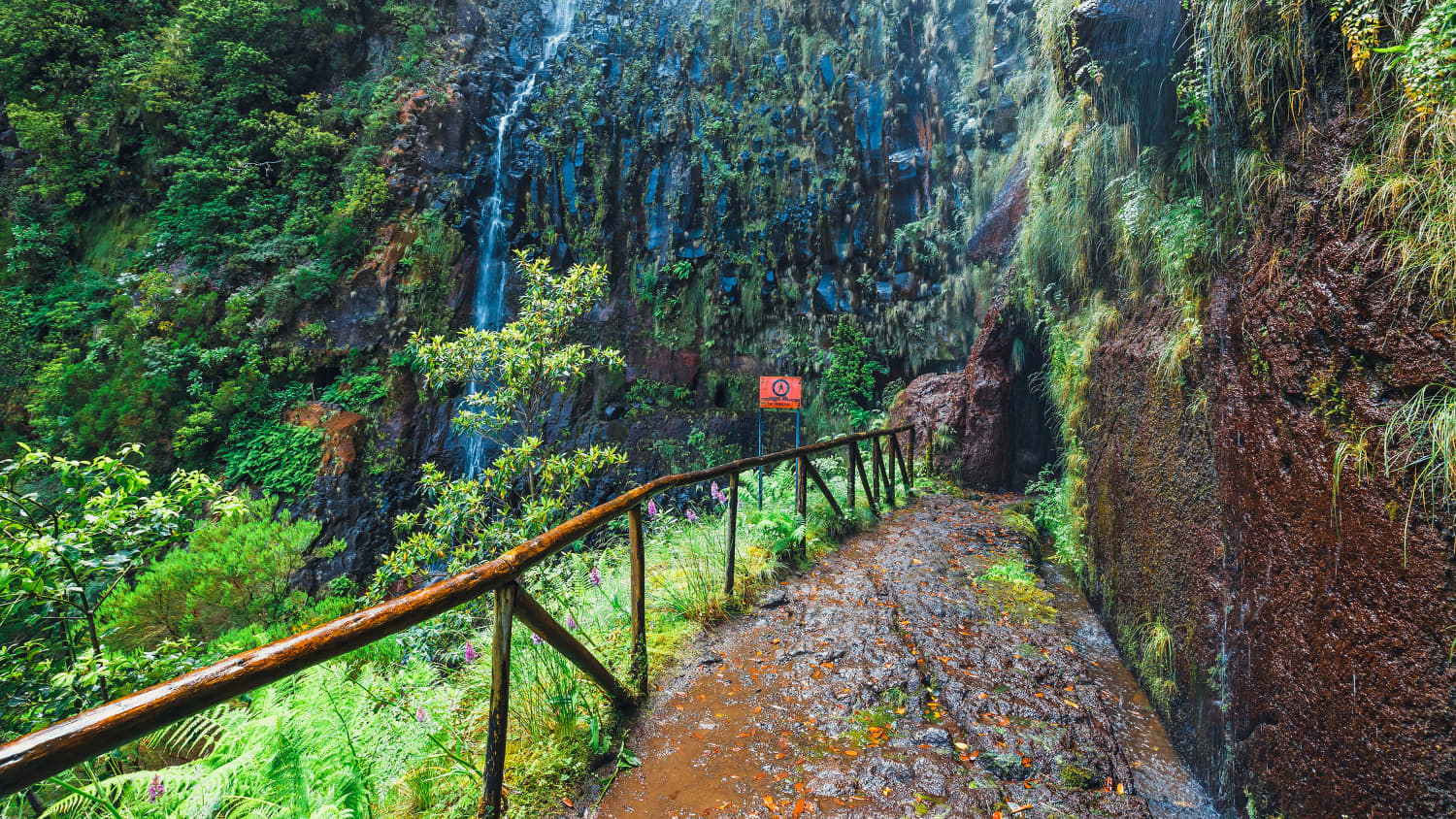 Weg zum Levada das 25 fontes und Levada do Risco auf Madeira